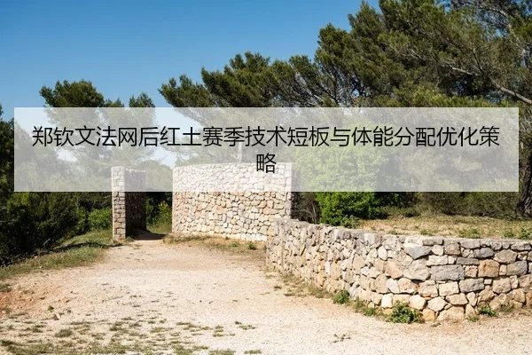 zheng-qin-wen-fa-wang-hou-hong-tu-sai-ji-ji-shu-duan-ban-yu-ti-neng-fen-pei-you-hua-ce-lve-3-381.jpg