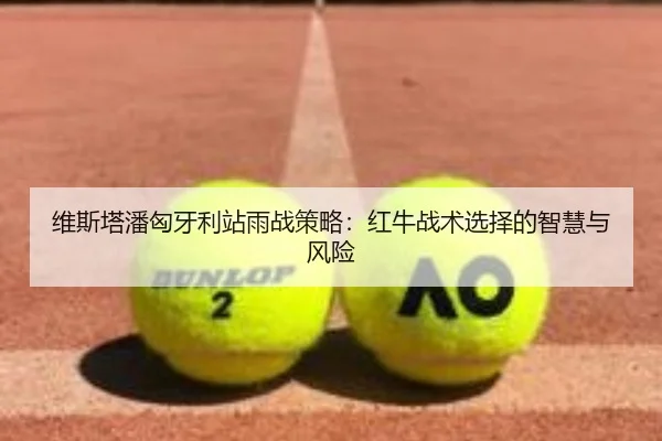 维斯塔潘匈牙利站雨战策略：红牛战术选择的智慧与风险